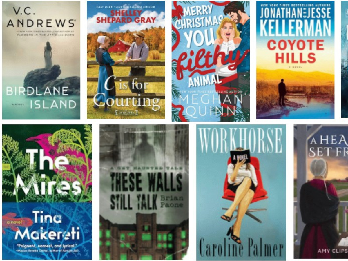 variety of new fiction arrivals from reading public library