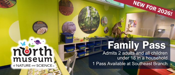 green wall lined with containers at North Museum.